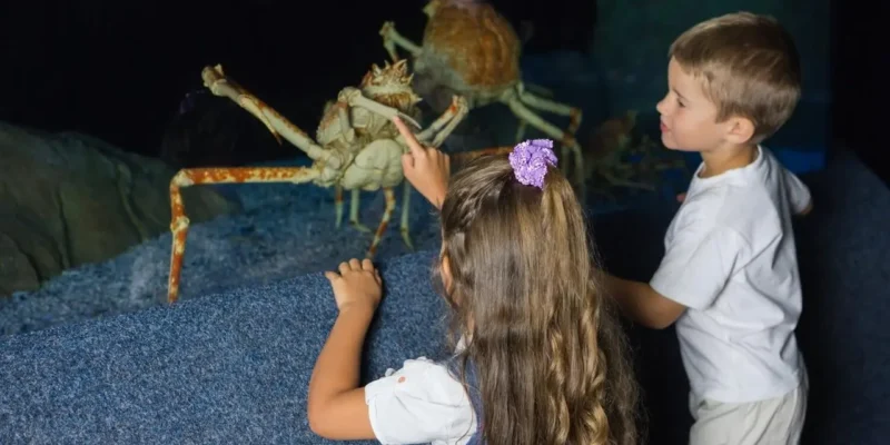 5 sposobów na zwiedzanie muzeów z dziećmi, by nie zanudzić ani rodzica, ani malucha