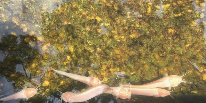 Sztuka slow life w praktyce: powolne poranki jako sposób na lepszy tydzień