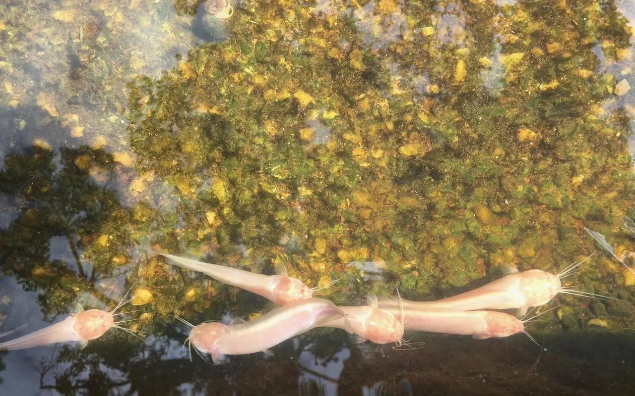 Sztuka slow life w praktyce: powolne poranki jako sposób na lepszy tydzień